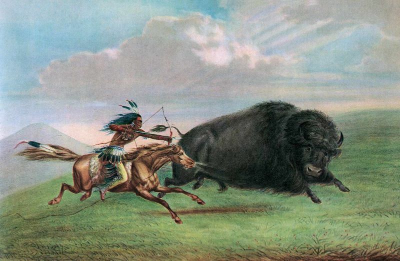 Buffalo Hunting Reached New Heights