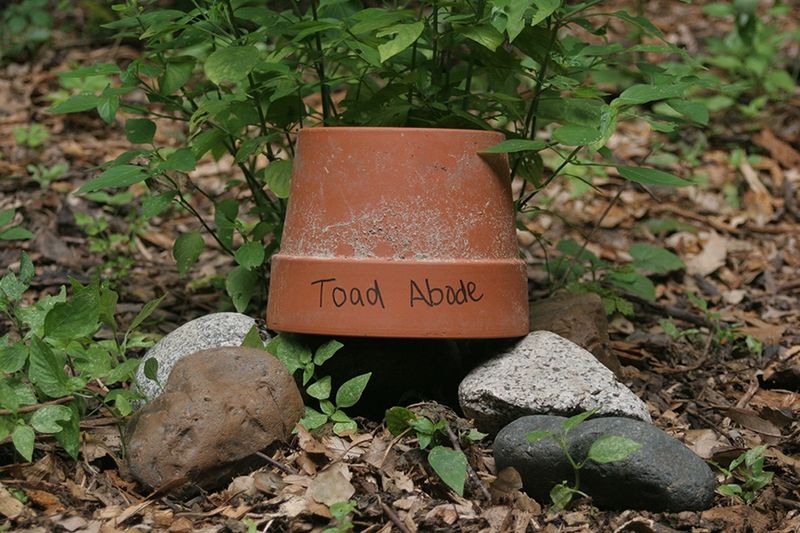Build A Toad Abode