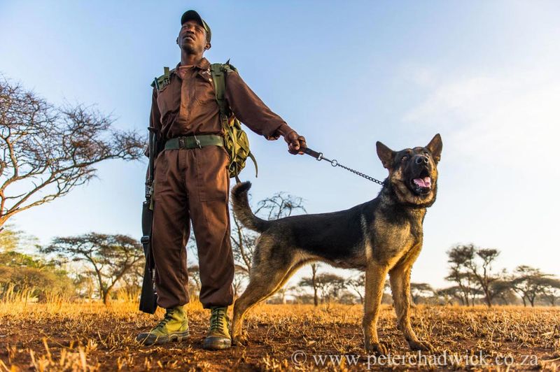Protection From Poachers