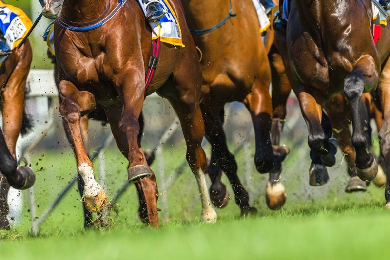 Competitive Sports Push Physical Limits