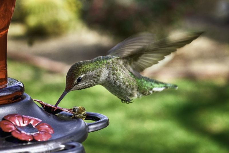 Use The Right Feeder Design