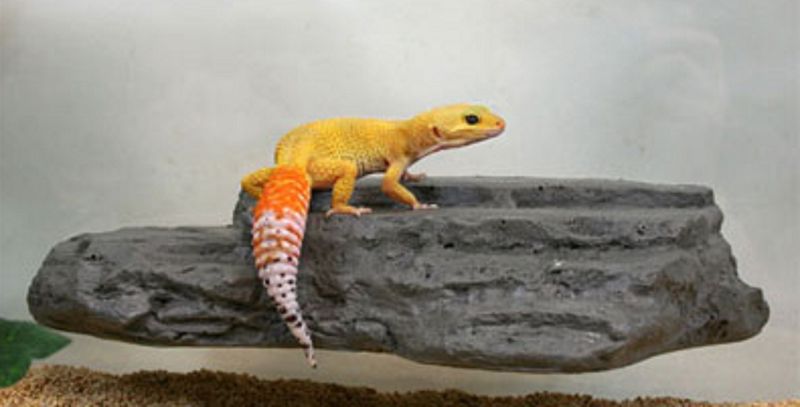 Magnetic Ledge System