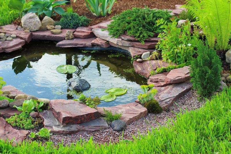 Create A Simple Pond