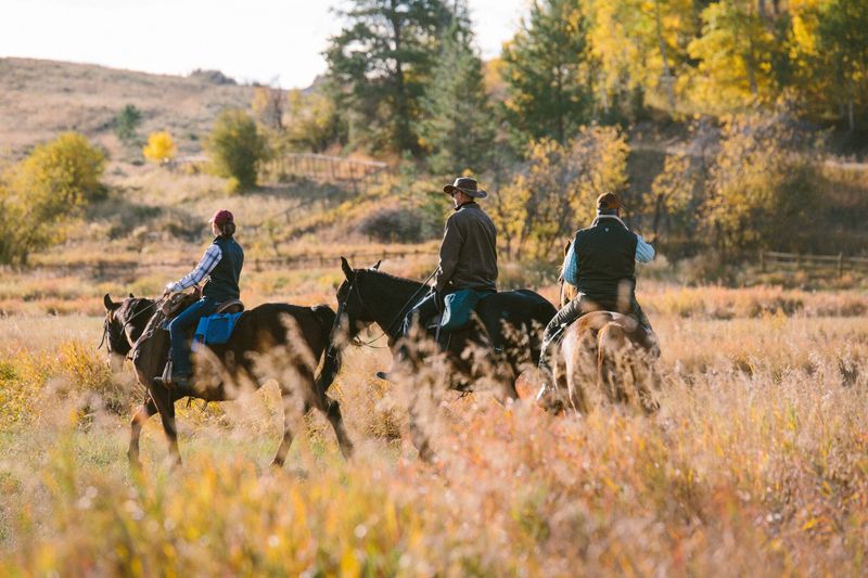 Stress Melts Away in the Saddle