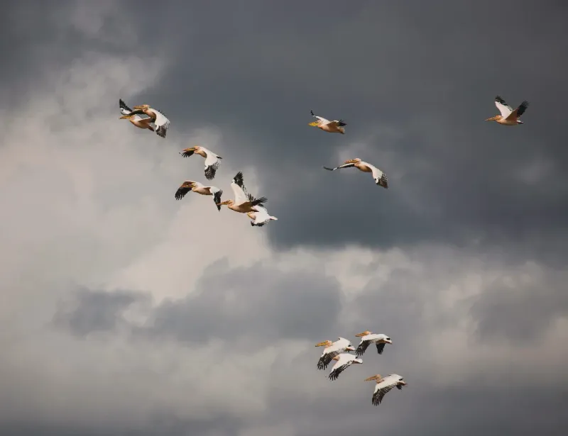 Seasonal Sleep Pattern Adjustments
