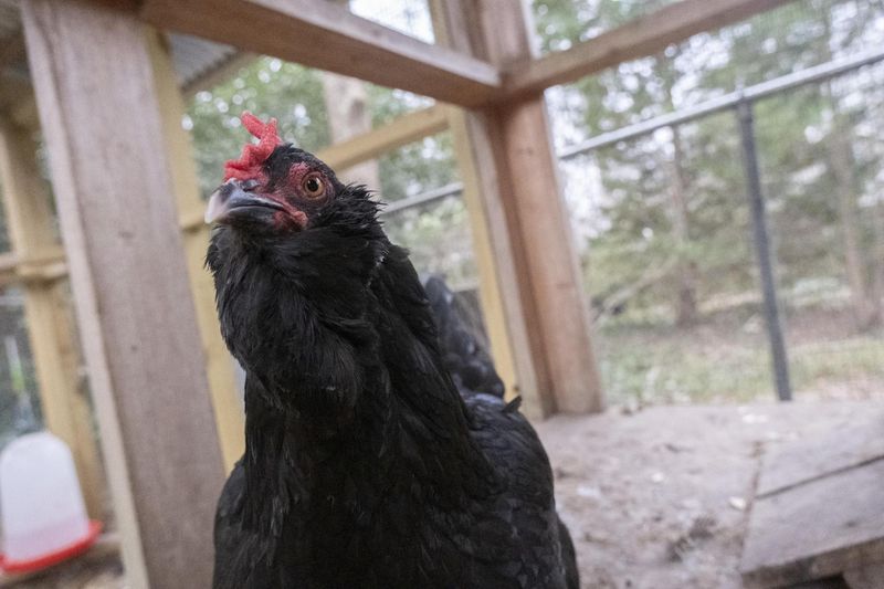 Ignoring Biosecurity Measures