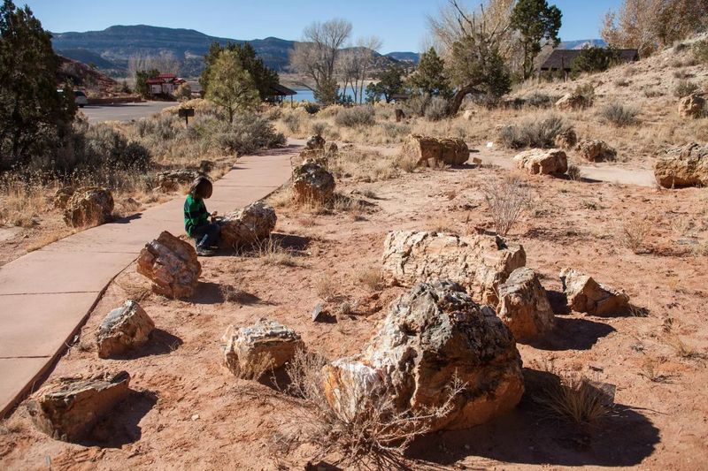 Unearthing The 76-Million-Year-Old Dinosaur Species In Utah