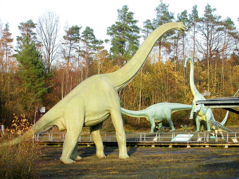 Why Carnivorous Sauropods Were Unlikely
