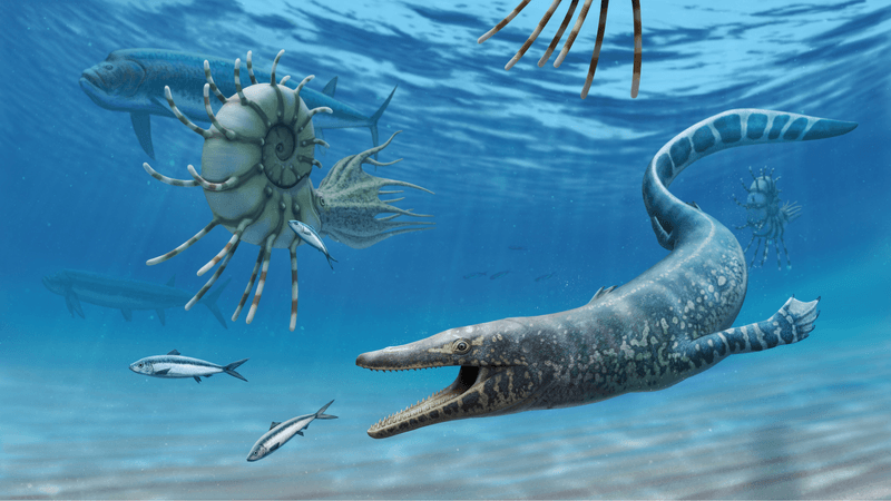 Ancient Mississippi Was Underwater Paradise
