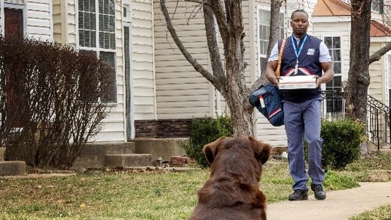 Pennsylvania – 316 incidents