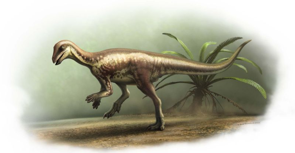 Newly Discovered Dog-Sized Dinosaur Lived Among Giants Of The Past