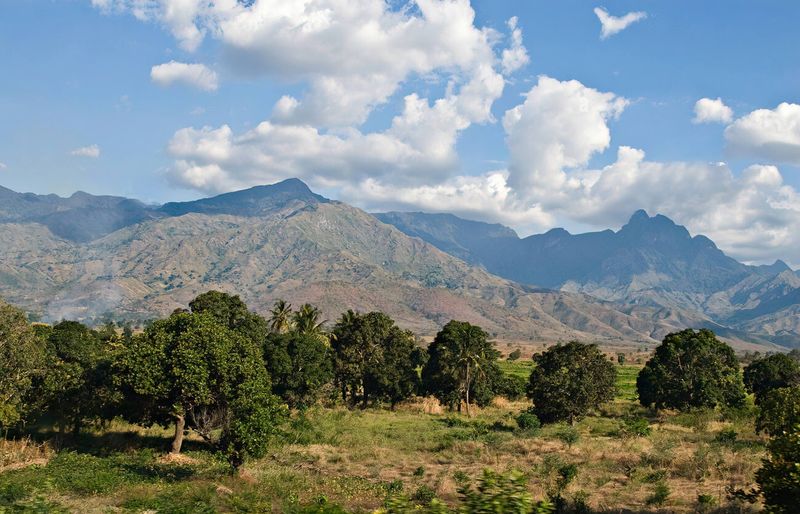 Habitat In The Ukaguru Mountains