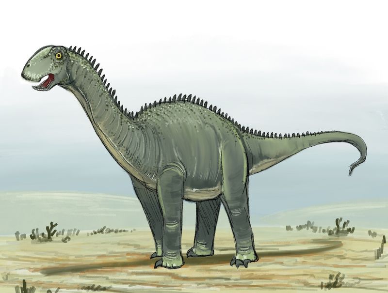 The Fossilized Teeth Of Nigersaurus And What They Reveal