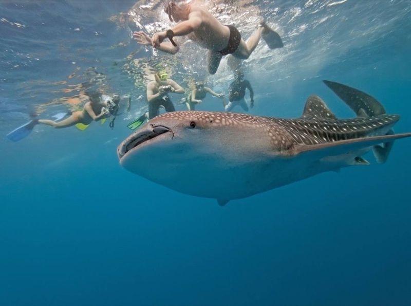 Isla Holbox, Mexico