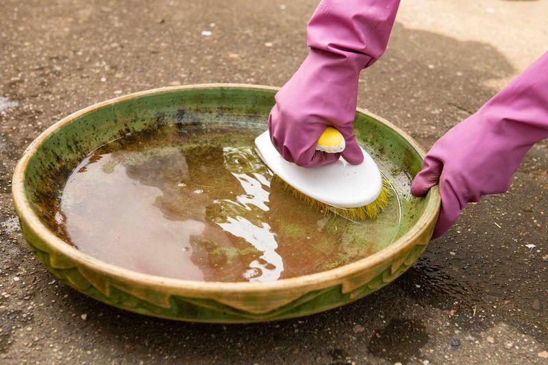Chemical Contamination