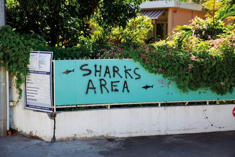 Reunion Island's Shark Crisis