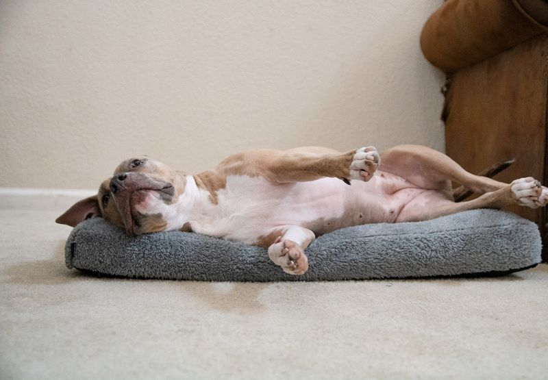 Sleeping Position