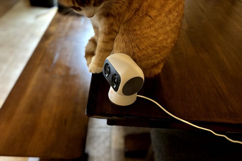 Evaluate Home Security Practices