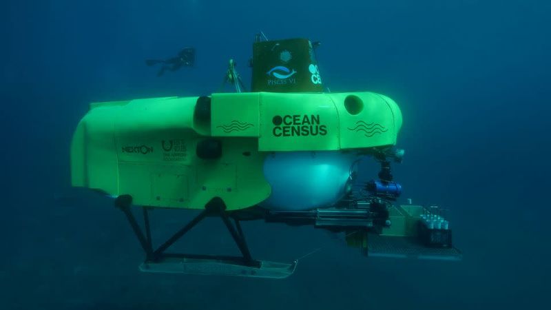 The Ocean Census Initiative: Mapping The Unknown