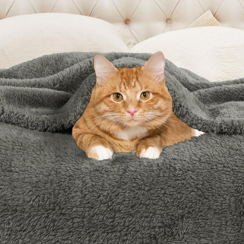Use Soft, Comfortable Blankets