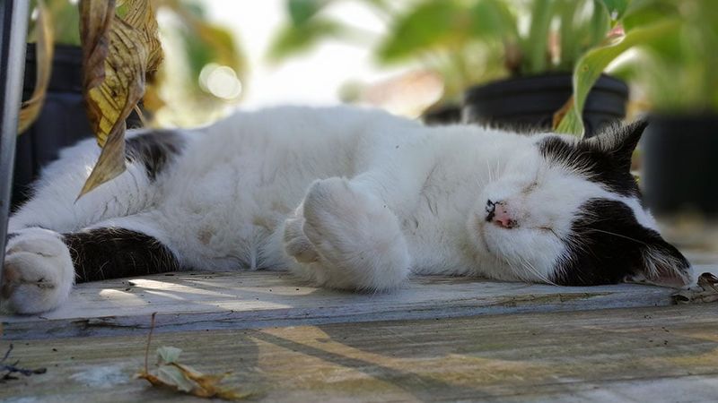 Create A Cooling Station For Summer