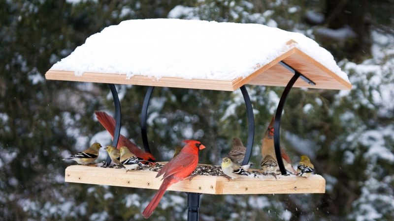 Install Platform Feeders