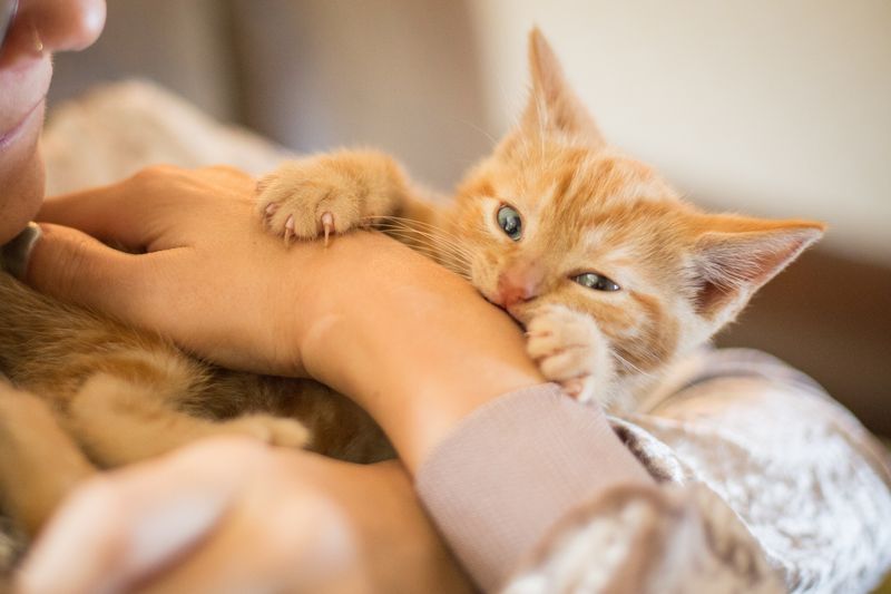 Gentle