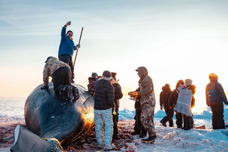 Traditional Knowledge Helps Monitor Population Health