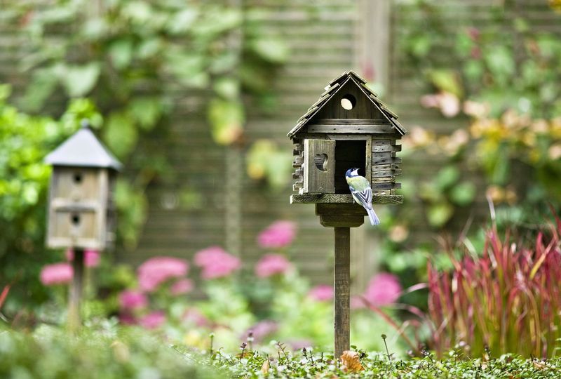 In Quiet, Secluded Corners Of The Garden