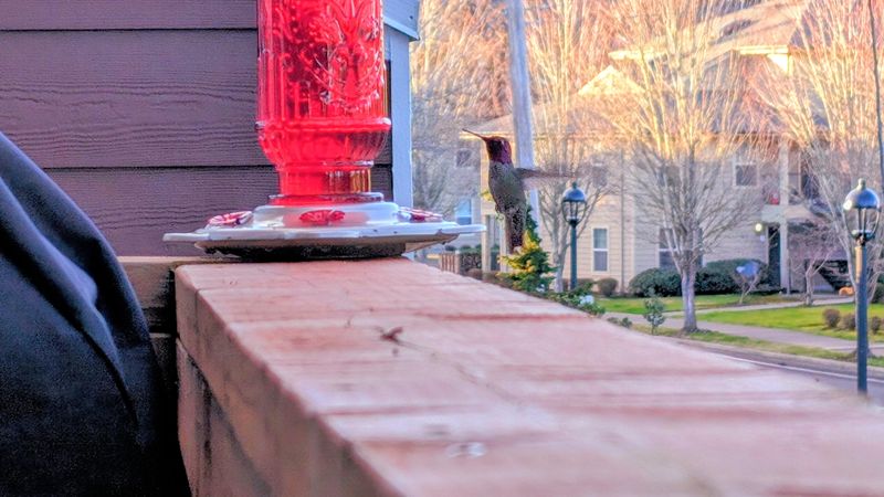 From Deck Or Porch Railings