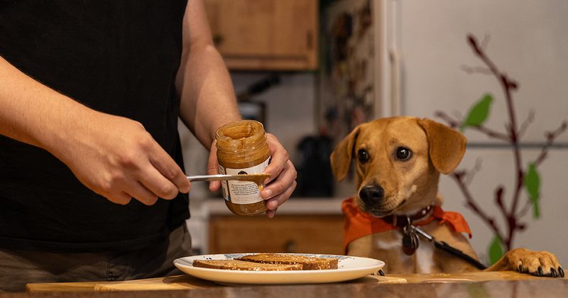 Table Scraps Make Good Treats