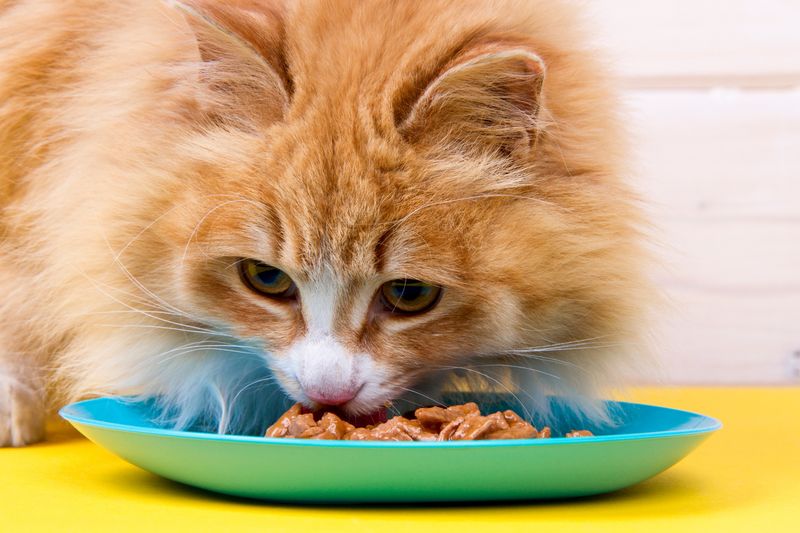 Dropping Food While Eating