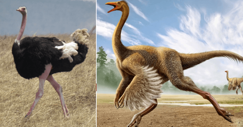 The Persistence Of Dinosaur Traits In Today's Ecosystem