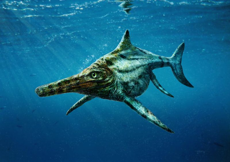 Ichthyosaurs