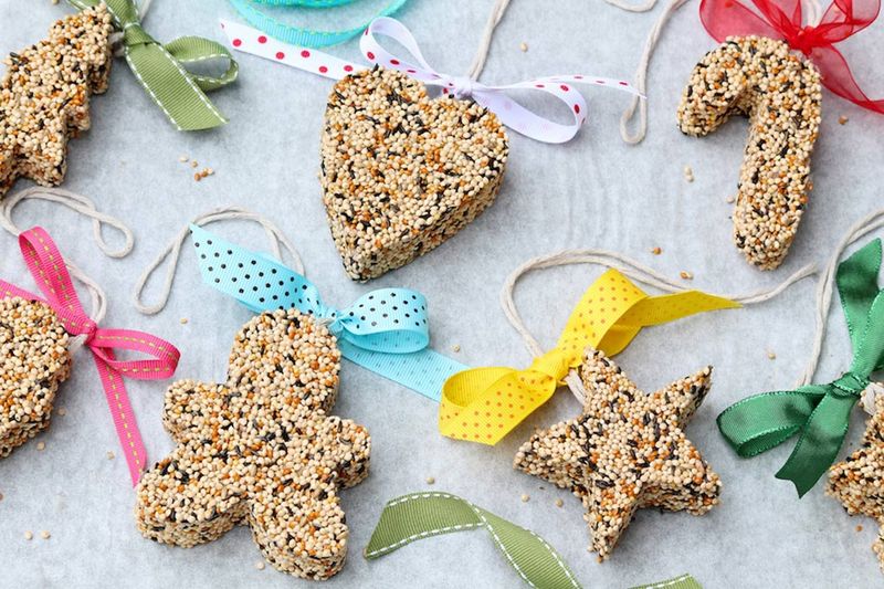 Cookie Cutter Seed Shapes