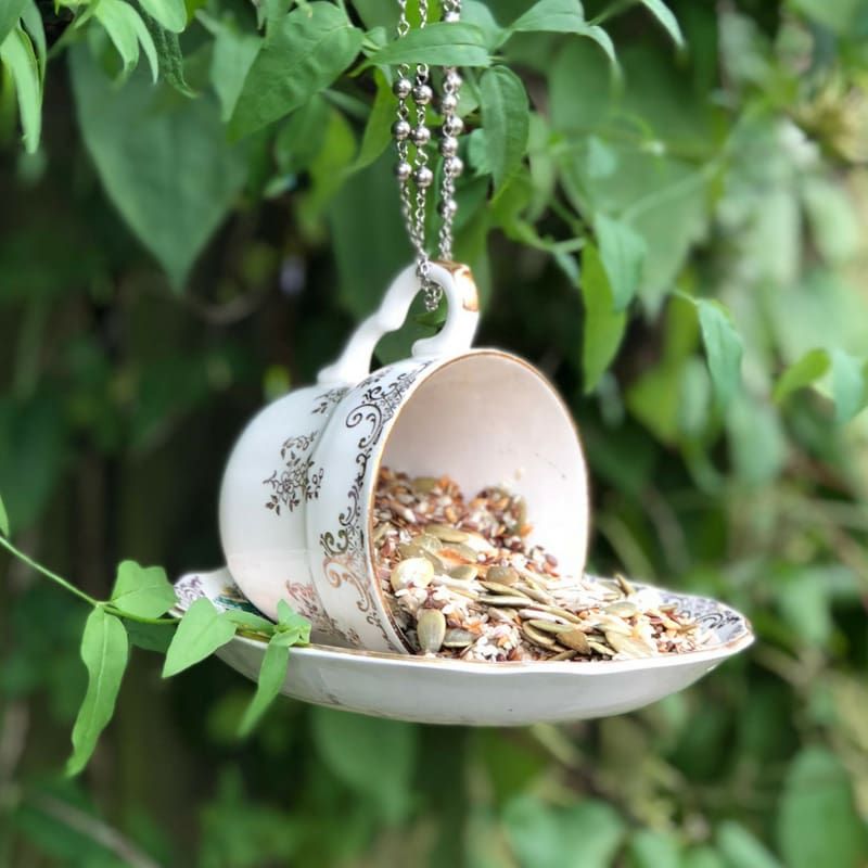Teacup Treasure