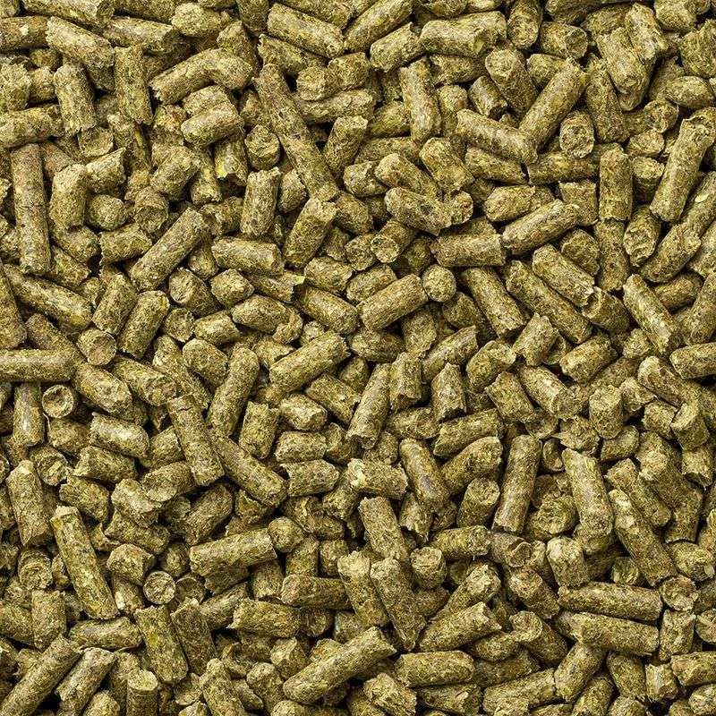 Chinchilla Pellets Provide Balanced Nutrition