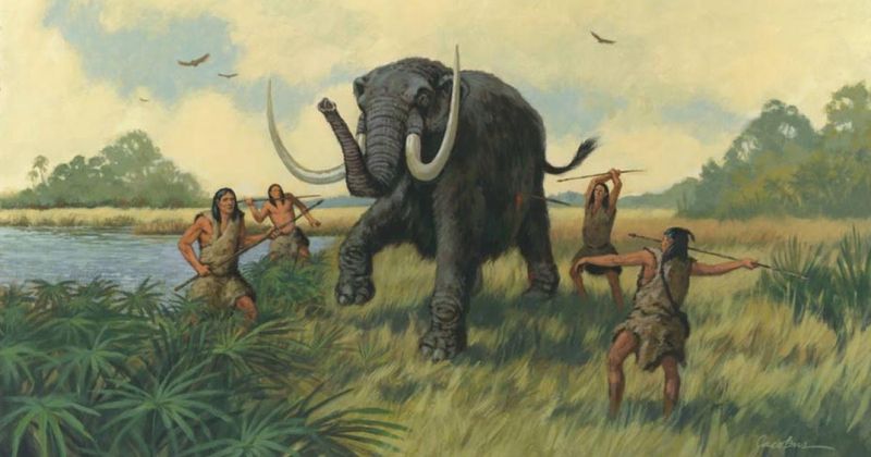 Why Did Florida's Megafauna Disappear?