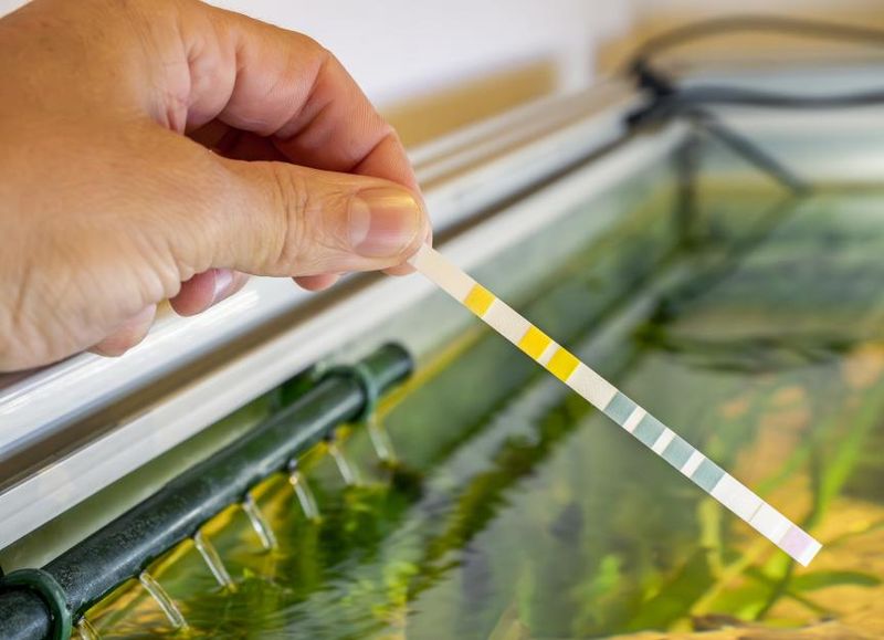 Skipping Water Tests