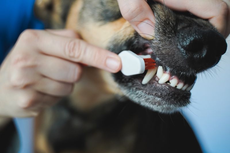 Bad Breath That Makes You Recoil