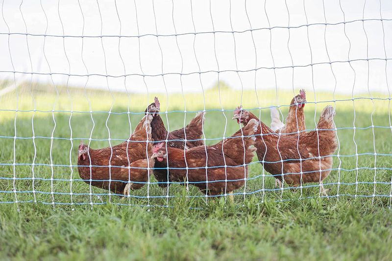 Electric Fencing Systems