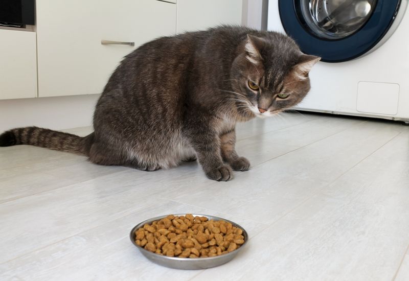 Certain Foods Trigger Flare-Ups
