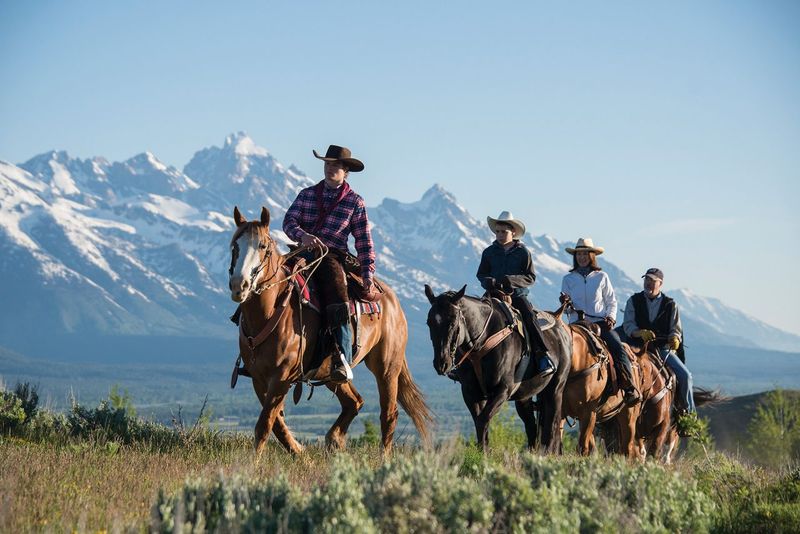 Horses: Swift Messengers And Loyal Companions