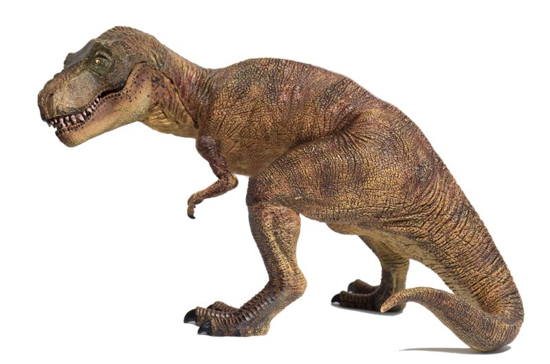 Tiny Arms, Big Questions