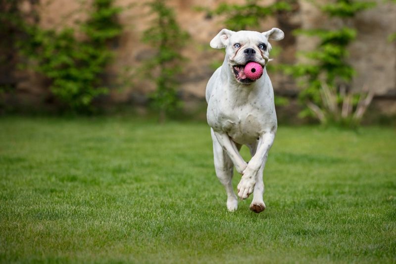 Physical Exercise Fulfills Primal Needs