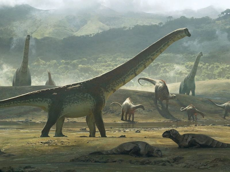 Sauropod Fossils Offer Dietary Proof