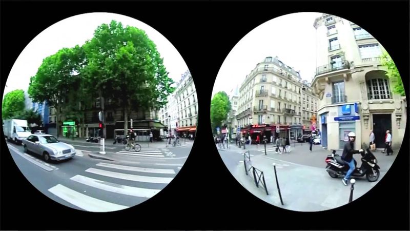 Double Vision: How Chameleons See In Two Directions