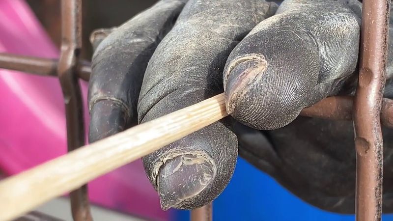Unique Fingerprint Patterns