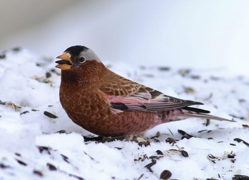 Explore Seasonal Changes