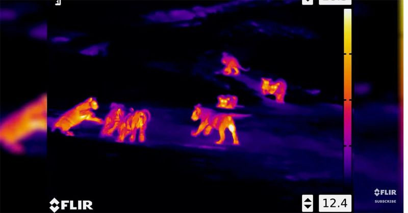 Drone Surveillance
